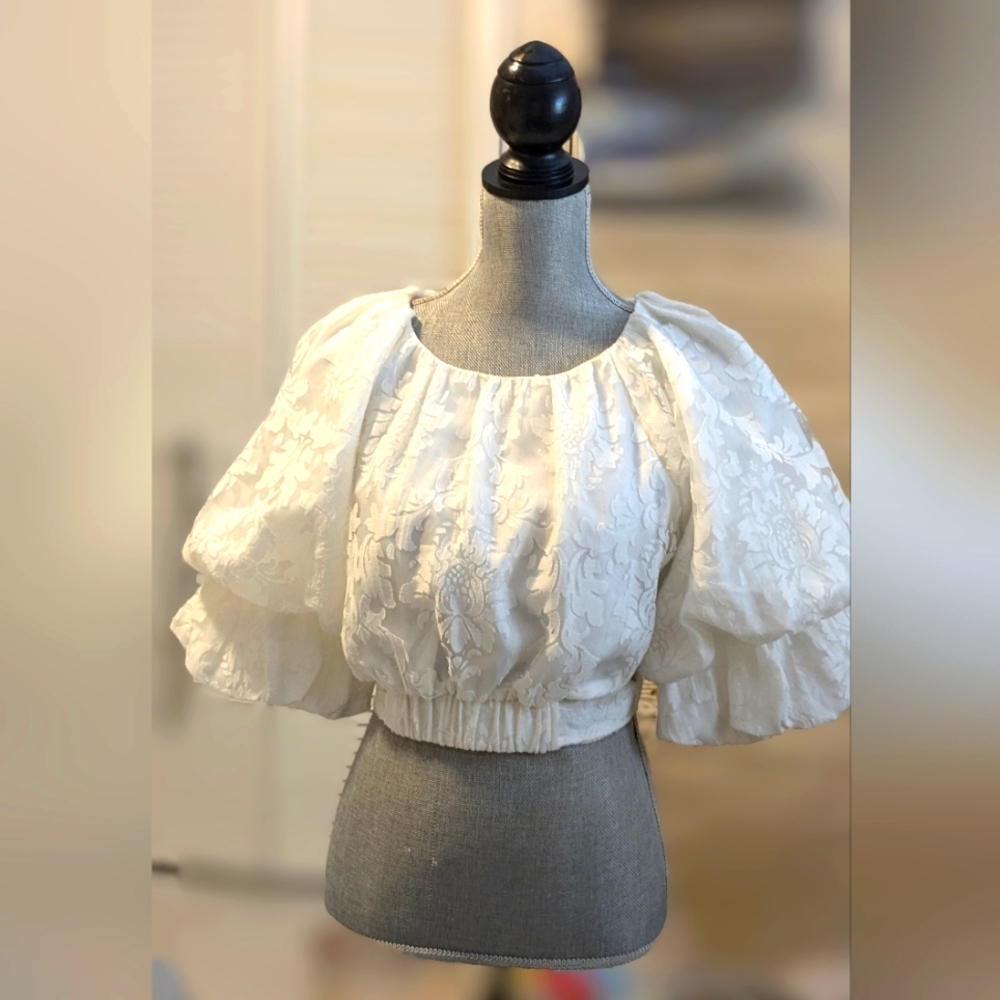 Etiquette Cropped Puff  Lace sleeve Top Small-3